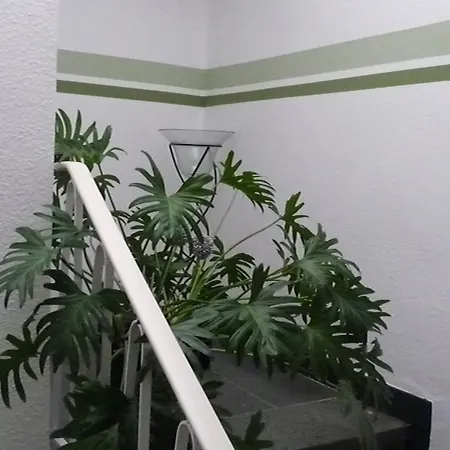 Sechzehn 3* Leverkusen