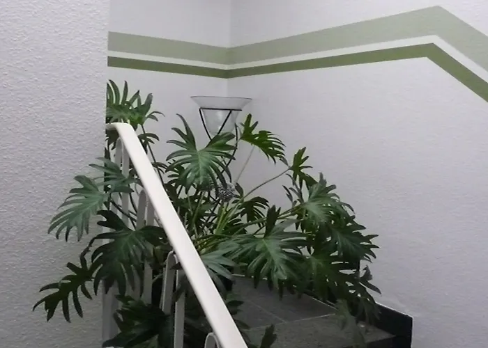 Sechzehn 3* Leverkusen